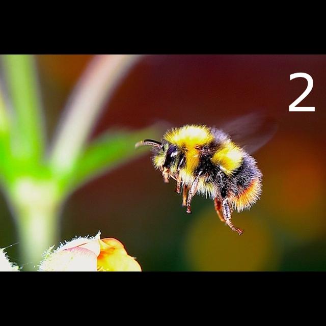 DC138 Conversation: The Buzzwordification of UX  #2 - podcast episode cover