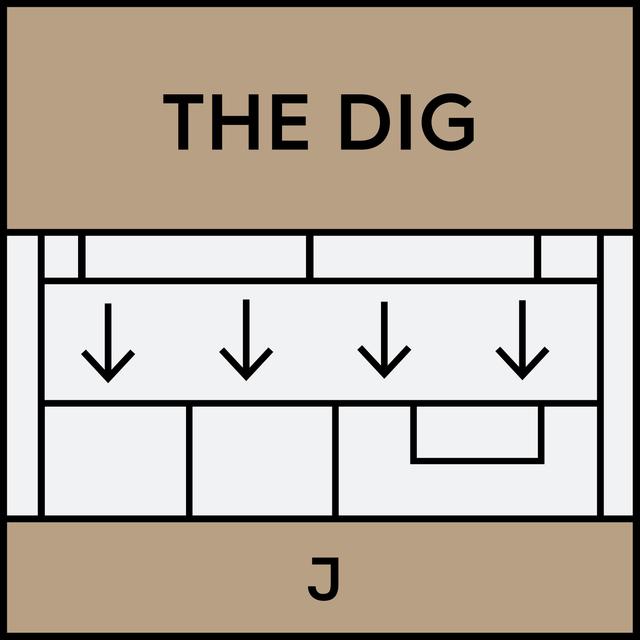 Dig: The Chicago Model w/ Stacy Davis Gates, Carlos Ramirez-Rosa, and Alex Han - podcast episode cover