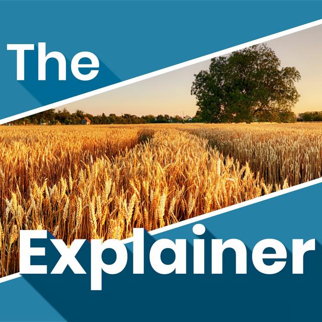How secure is Ireland’s food supply? - podcast episode cover