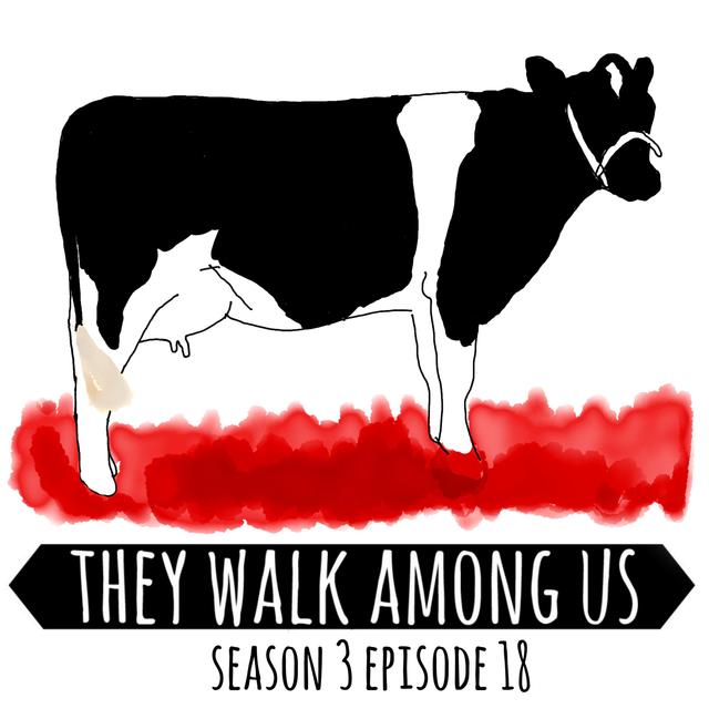 Farmhouse Of Lies / Colyn Bedale-Taylor / Graham Backhouse - podcast episode cover