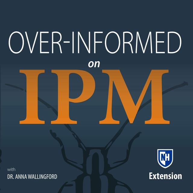 021 Seed Treatments In Field Crops - podcast episode cover