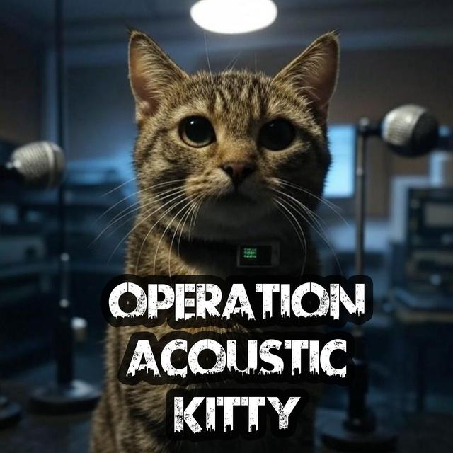 Operation Acoustic Kitty - podcast episode cover