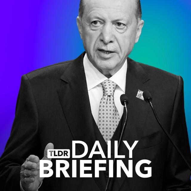 Kurdish Leader Calls for Militant Group to Disarm - podcast episode cover