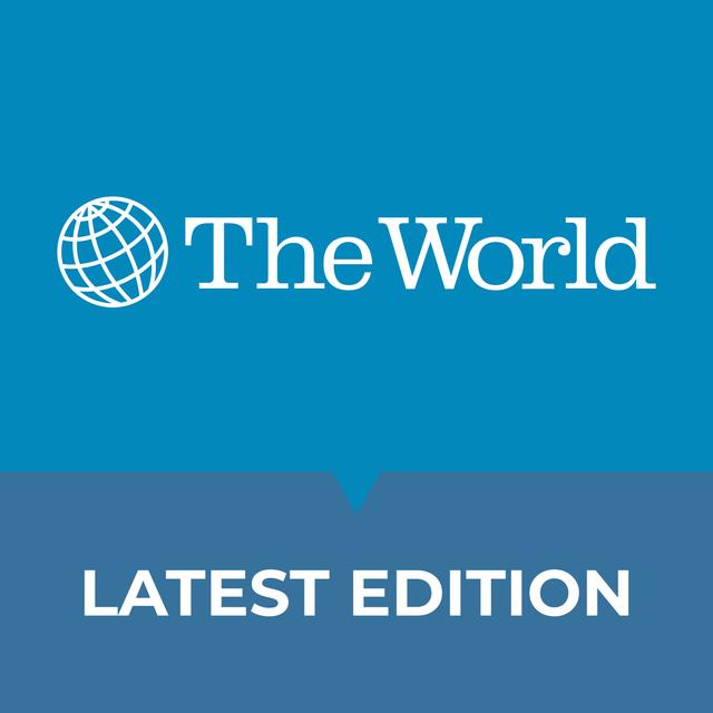 Poland votes this weekend in election seen as test for democracy - podcast episode cover