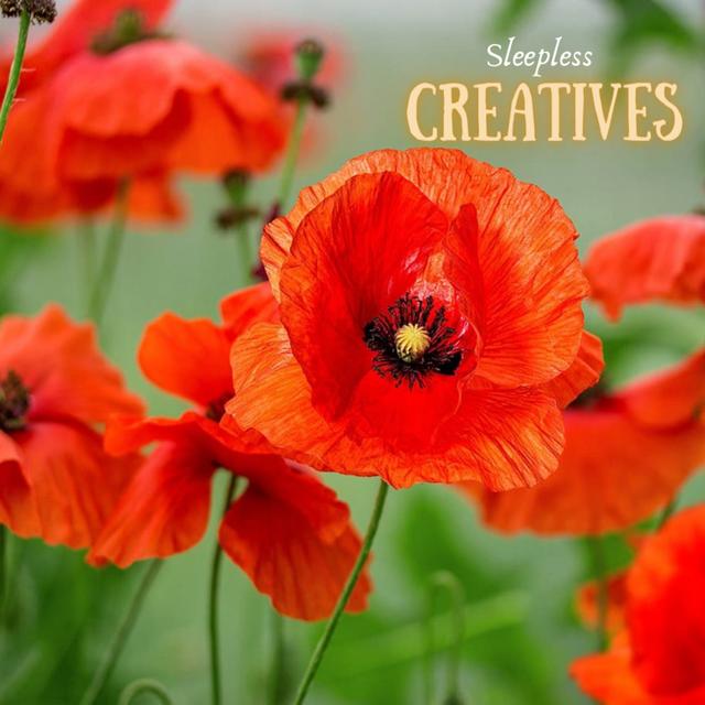The Poetry of WWI - podcast episode cover