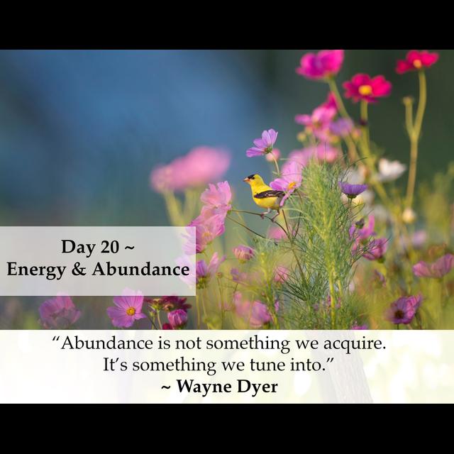 MZD - Ep 70 Energy & Abundance - podcast episode cover