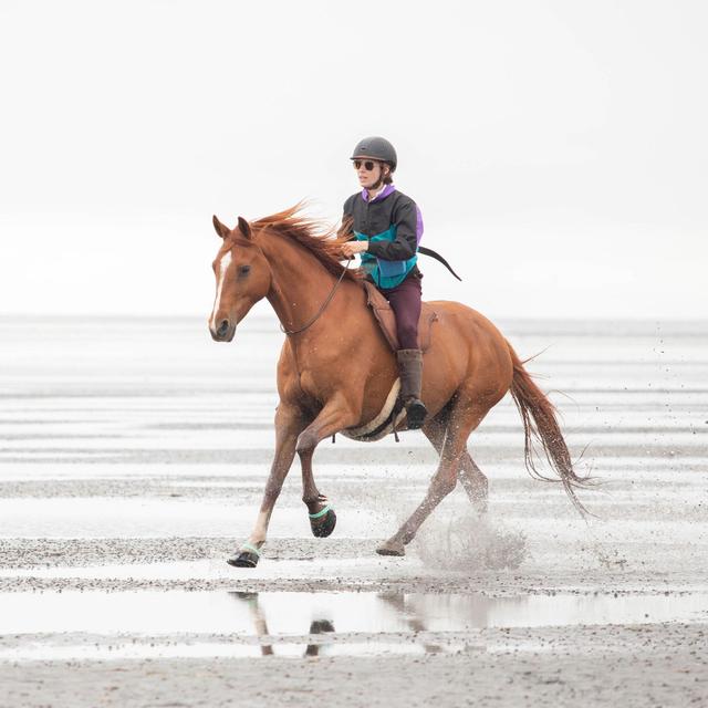 Growth in the Confines of the Horse World + The Power of Manifestation - podcast episode cover