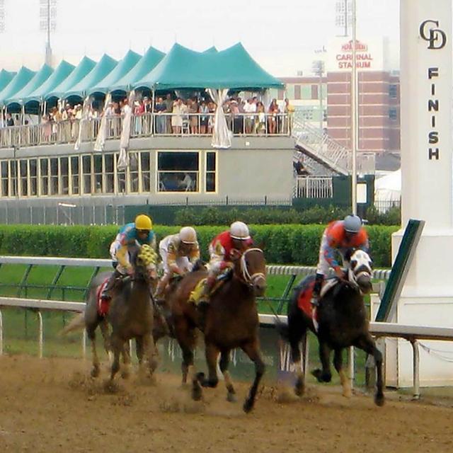 #ICYMI - The Science of Thoroughbred Racing - podcast episode cover