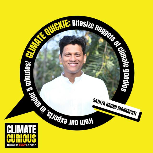How a soul forest is transforming Hyderabad - podcast episode cover