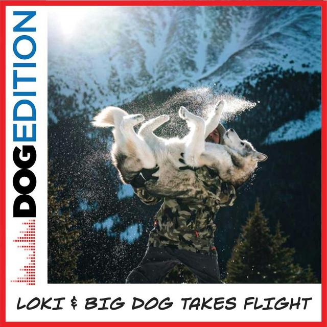 Loki & Big Dog Takes Flight - podcast episode cover