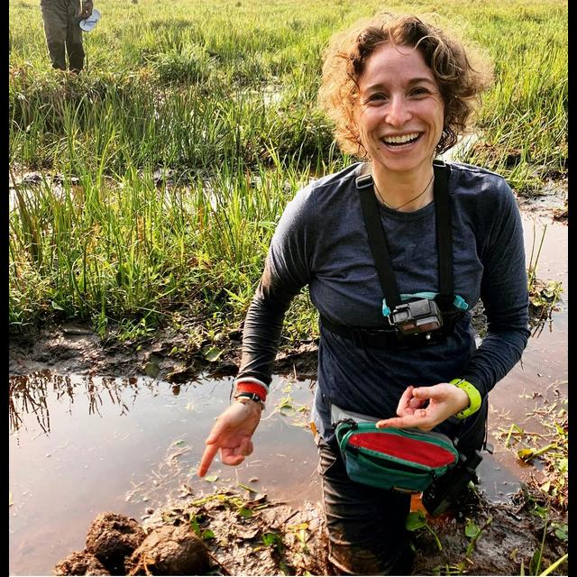 Episode 158: Forrest Elephant Research in Central Africa w/Dr Daniella Chusyd - podcast episode cover