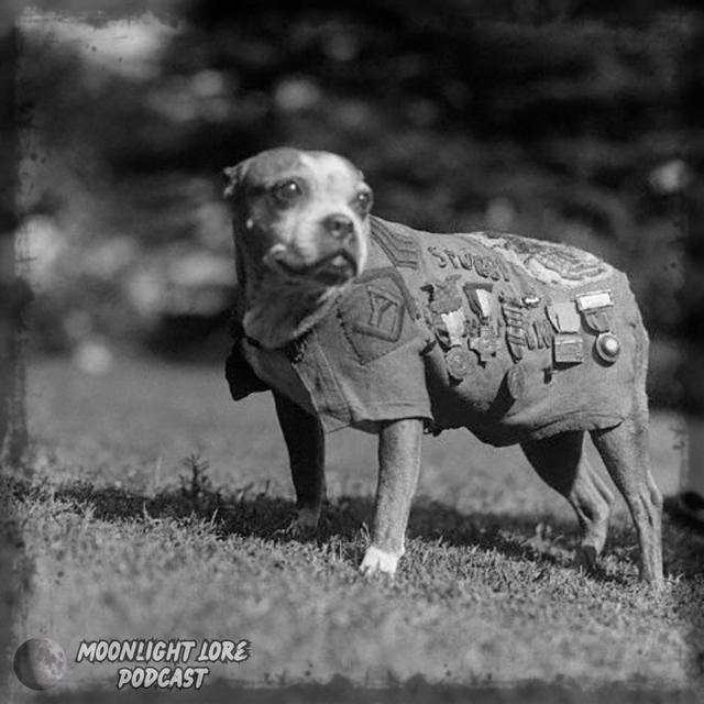 The Heroic Escapades of Sergeant Stubby - podcast episode cover
