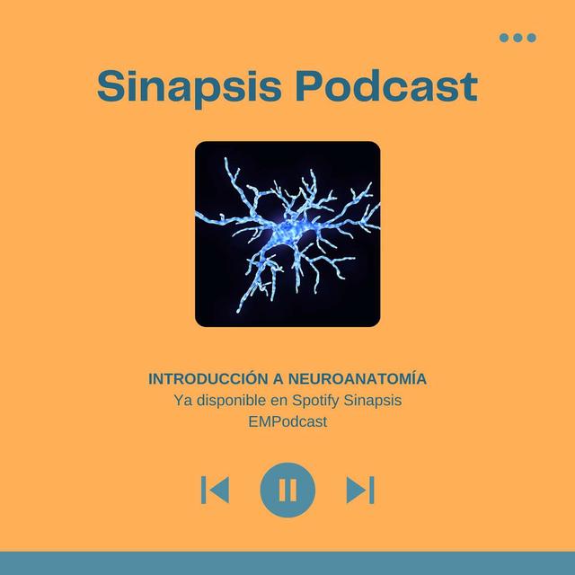 Introducción a neuroanatomía - podcast episode cover