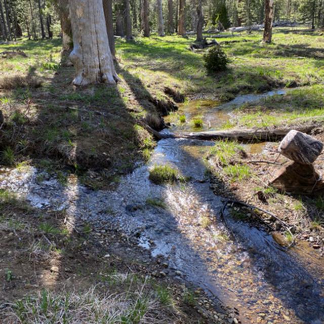 106: Spring Day Beside A Confluence Of Mountain Streams - podcast episode cover
