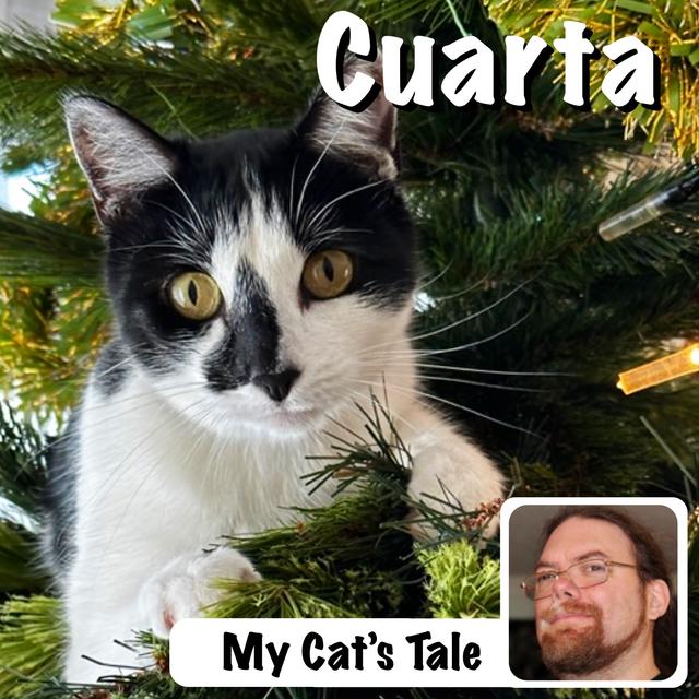 My Cat’s Tale – Cuarta - podcast episode cover