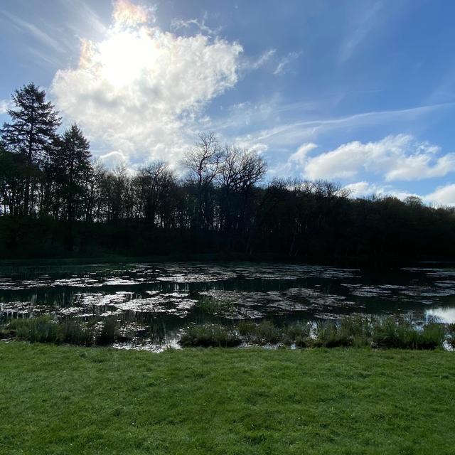 Lent Reflections 2023 by Laurence Freeman: Holy Saturday - podcast episode cover