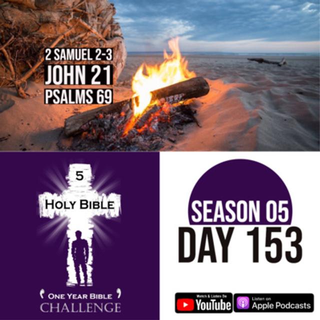 Day 153 | David battles Israel for power | The risen Jesus cooks fish for his disciples - podcast episode cover