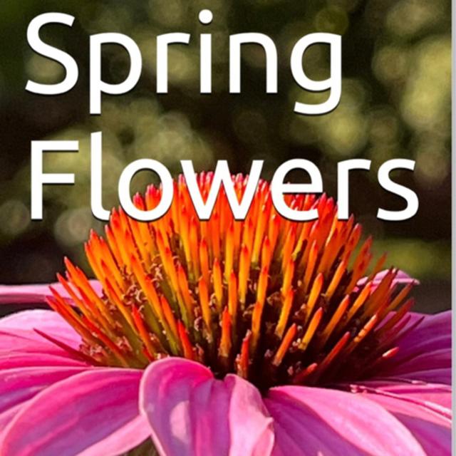 Spring Flowers Volume 93 Decorative by Daniel Lucas - podcast episode cover
