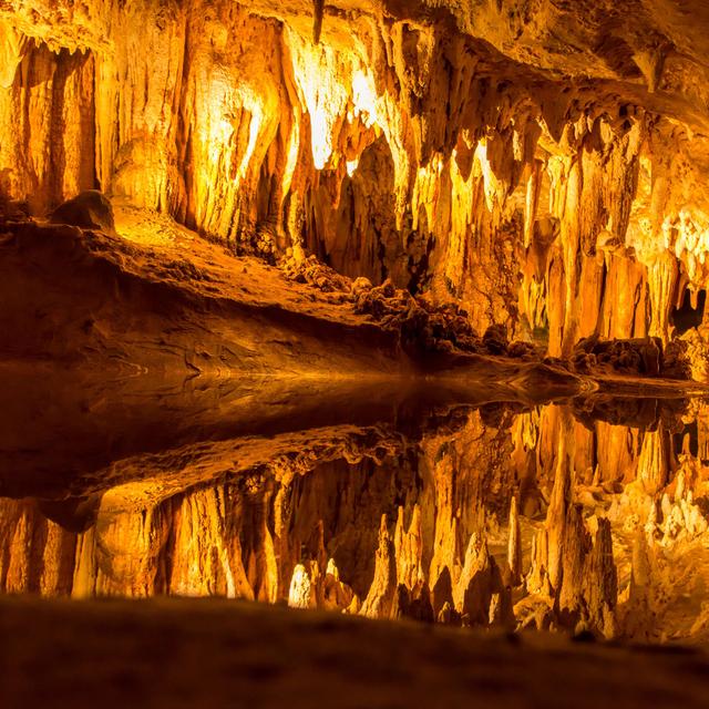 FEED DROP: Curator's Choice at Luray Caverns - podcast episode cover