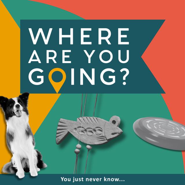 A frisbee, some biscuits and a collie dog - podcast episode cover