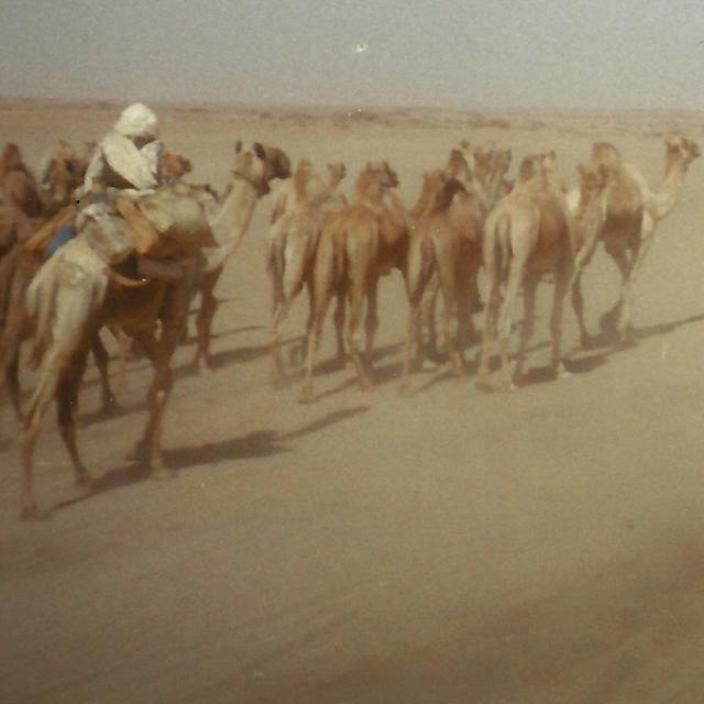 Episode 18: Go Tell It In The Desert - podcast episode cover