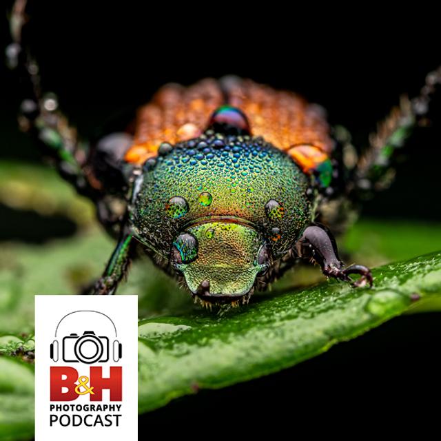 Macro Photography in Your Backyard and Garden - podcast episode cover