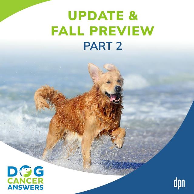 Update & Fall Preview Part 2 | Molly Jacobson #182 - podcast episode cover