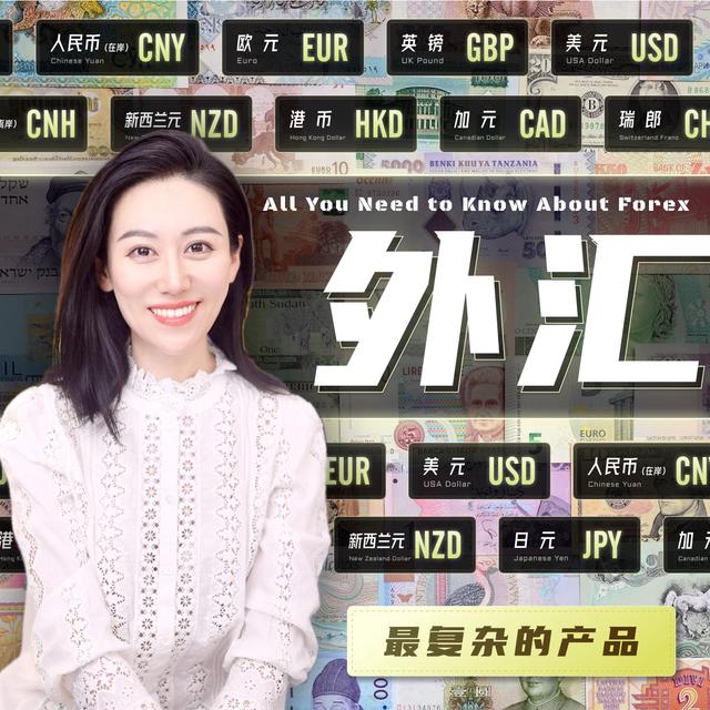 【硬核】一口气了解外汇 - podcast episode cover