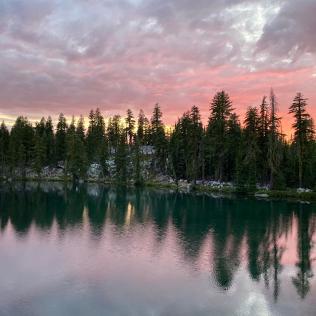 169: Russian Wilderness- Tree Ears- Nightfall Beside Russian Lake - podcast episode cover
