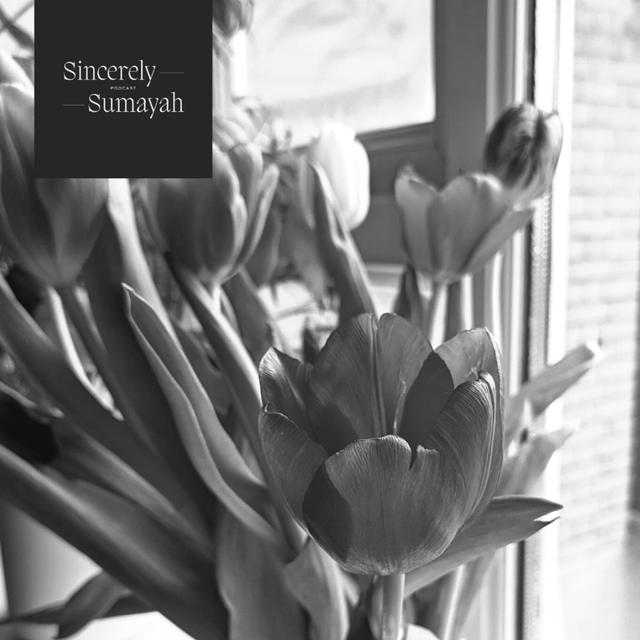 Sincerely, Sumayah // [Episode 40] Support During A Crisis — Telling More Gracious Stories - podcast episode cover