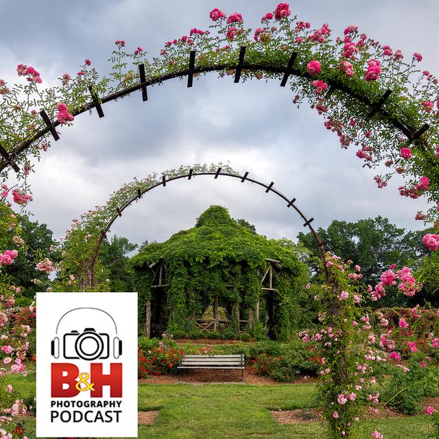 The B&H Photography Podcast/OPTIC Conference Photo Walk - podcast episode cover