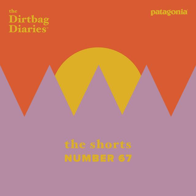The Shorts -- Number 67 - podcast episode cover
