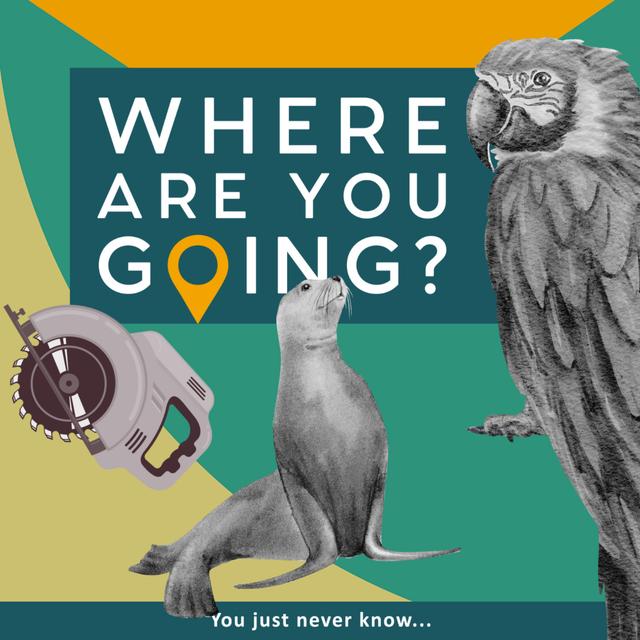 A saw, a seal and a parrot. - podcast episode cover