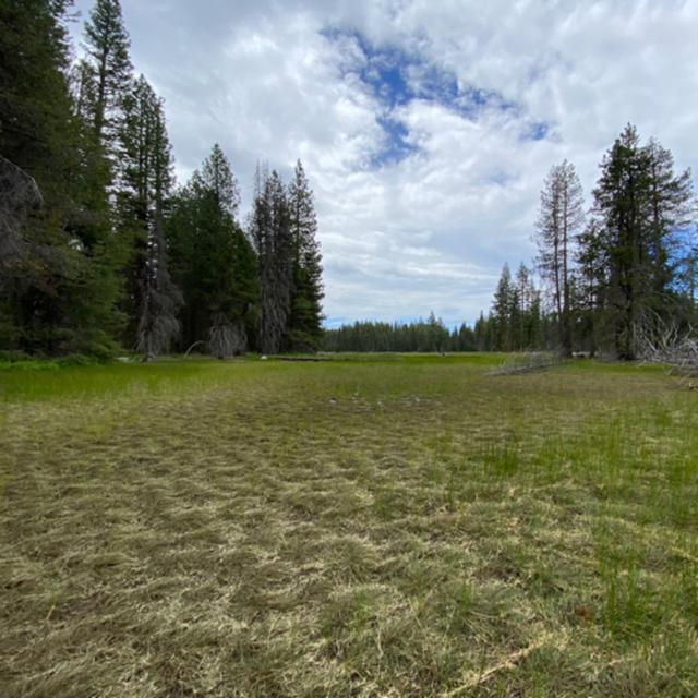 165: Beneath Aspens At Meadows Edge - podcast episode cover