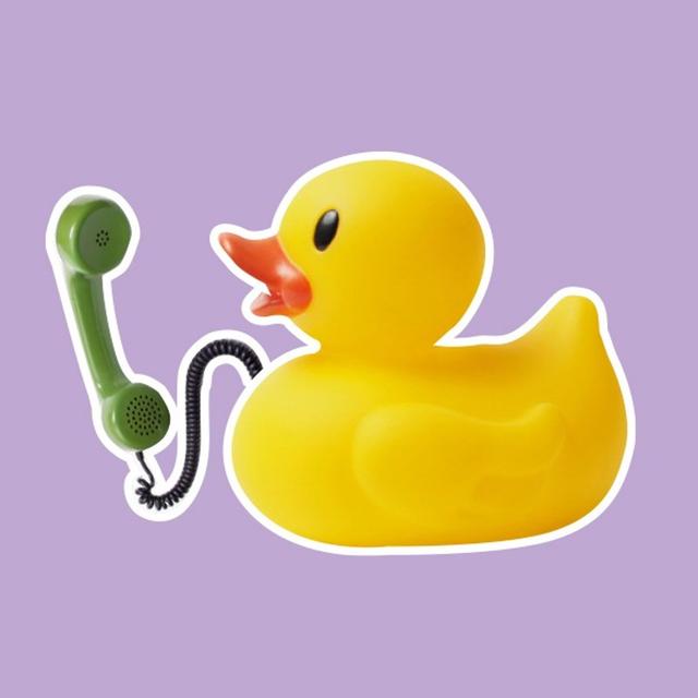 S03 - House Call #5 Duck by our House with Anthony Carthew - podcast episode cover