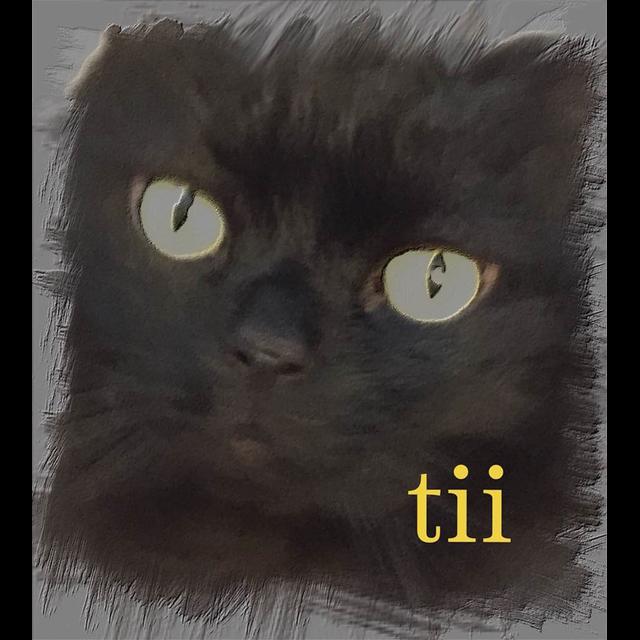 Tii - iTem 0328 - iOS 8.1.1 and iOS 8.2 Beta 1 - podcast episode cover