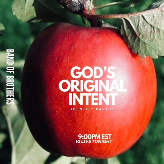 Gods Original Intent: Identity - Part 2 - podcast episode cover