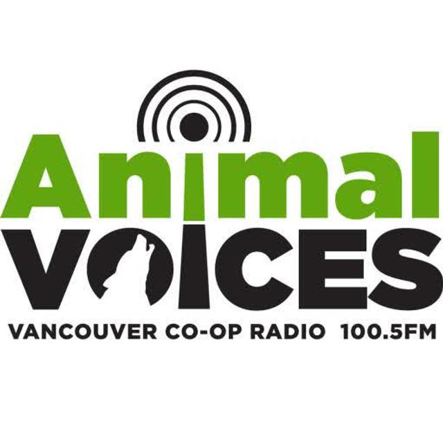 Eco-Activist Captain Paul Watson, and Saving the Grizzly Bears in BC - podcast episode cover