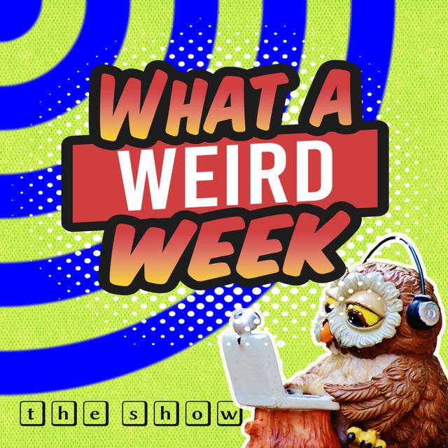 What a Weird Week Friday March 21 2025: 10 Weird Stories in 15 minutes including new wine glass technology! #OddNews #WeirdNews - podcast episode cover