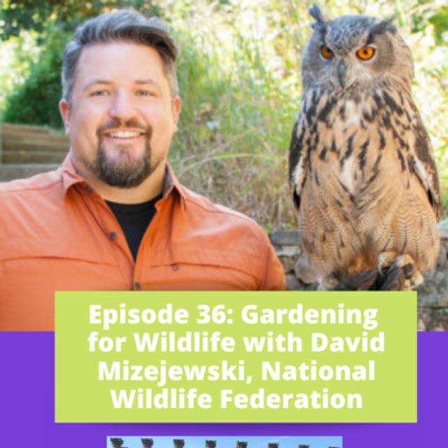 Gardening for Wildlife - Part 2 - podcast episode cover