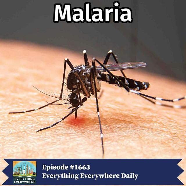 Malaria: The Disease That Shaped History - podcast episode cover