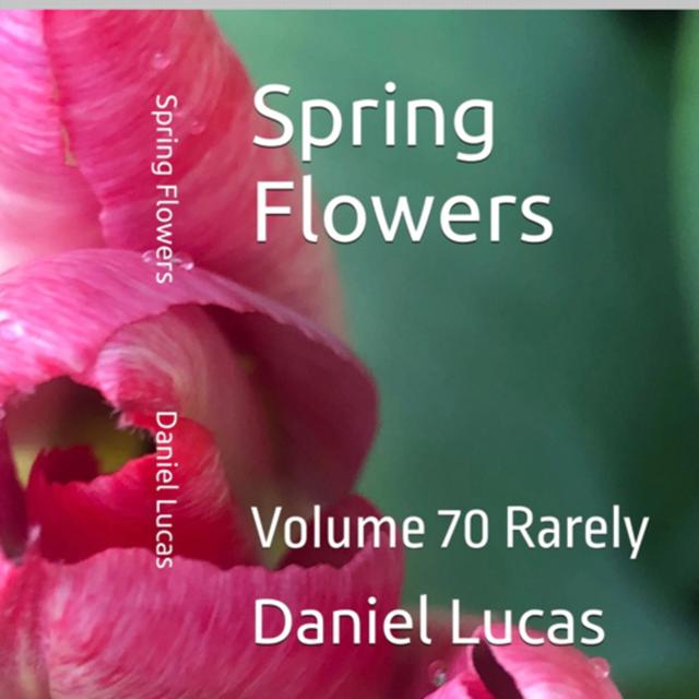 Spring Flowers Volume 70 Rarely by Daniel Lucas - podcast episode cover