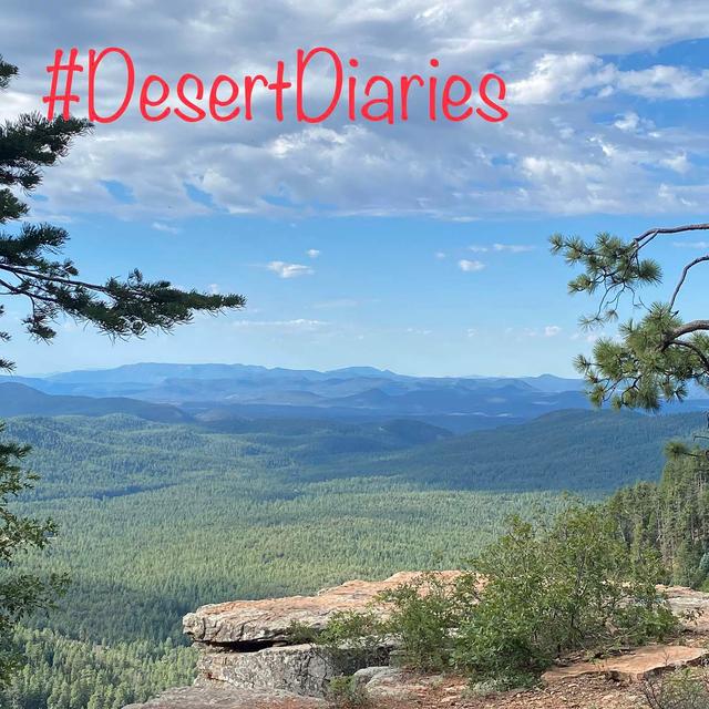 Trees and canyons and bears oh my! - podcast episode cover
