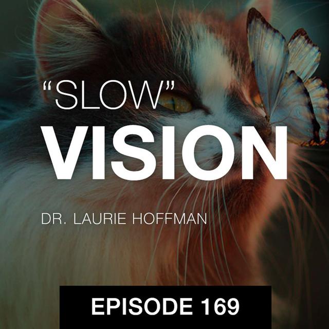 "Slow" Vision - podcast episode cover