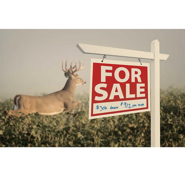 Ep. 22: Ideal Prospective Properties - podcast episode cover