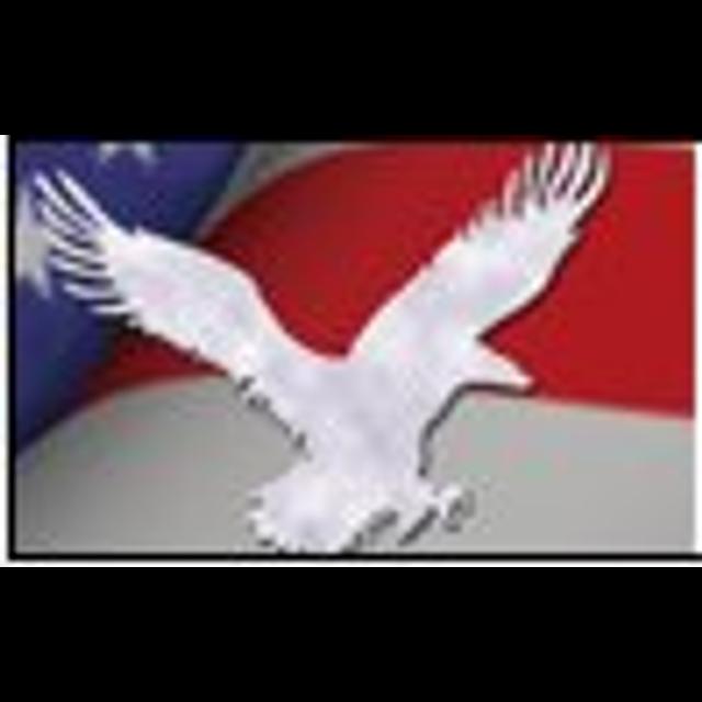 Michael Wolsey Guest Hosts on Words of Freedom - podcast episode cover