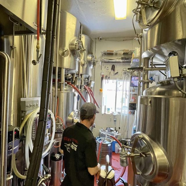 Episode 30 - Fermentation Beyond Beer and Hop Crop Update - podcast episode cover