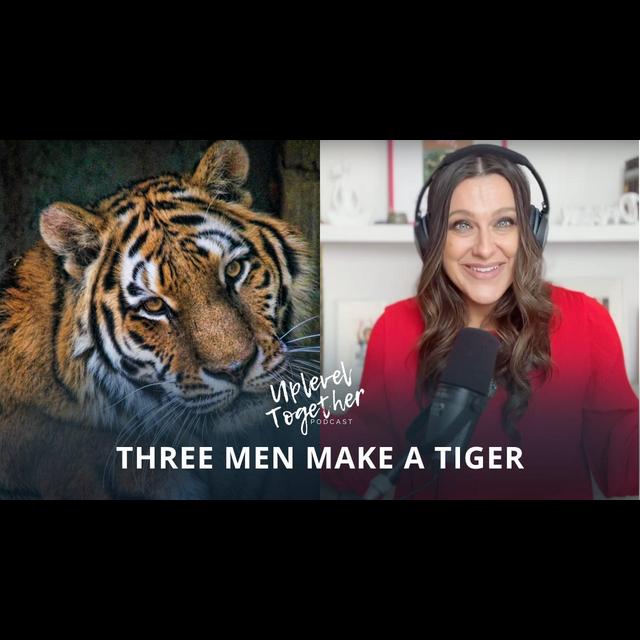 Three Men Make a Tiger: Questioning False Beliefs - podcast episode cover