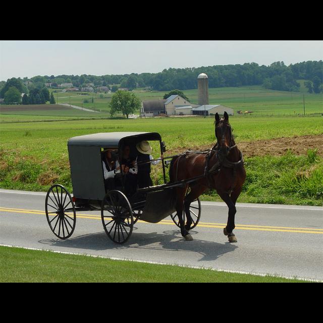The Amish - podcast episode cover