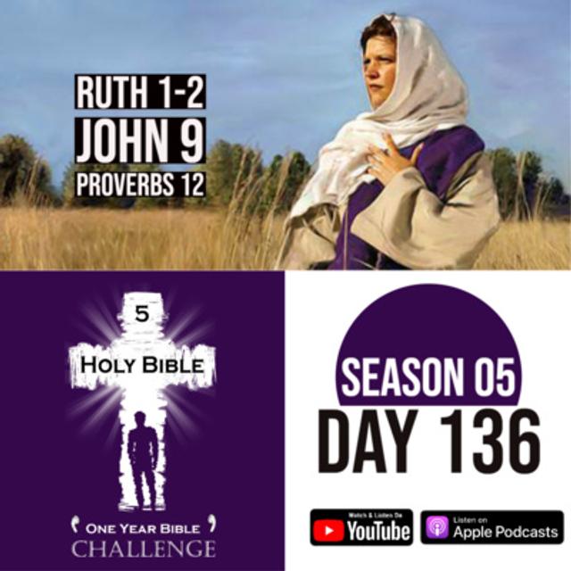 Day 136 | Ruth travels with Naomi and meets Boaz | Jesus heals a blind man on the Sabbath | The Jews investigate - podcast episode cover